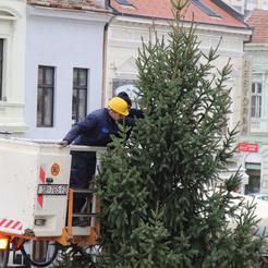 Željka Gavranović/SBplus