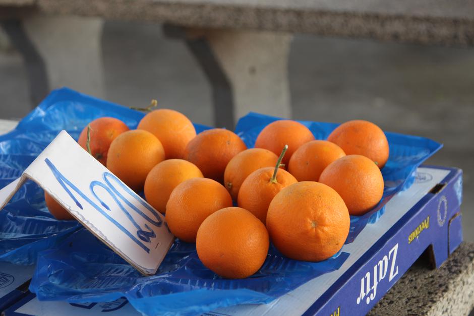  | Author: Luka Sudar / PlusPortal