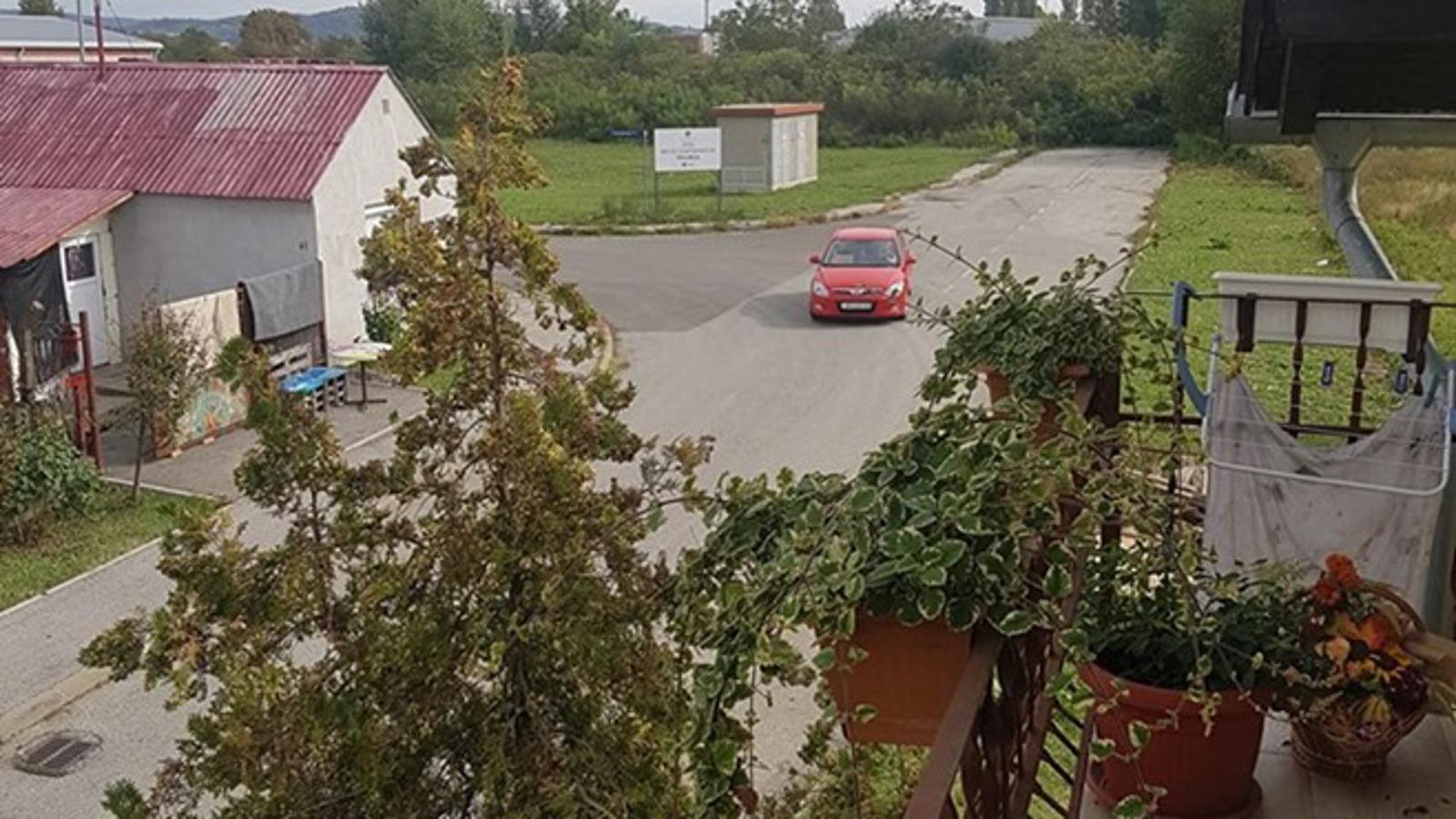 'Gospođa' izbacuje mačiće iz automobila