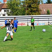 Slika 1