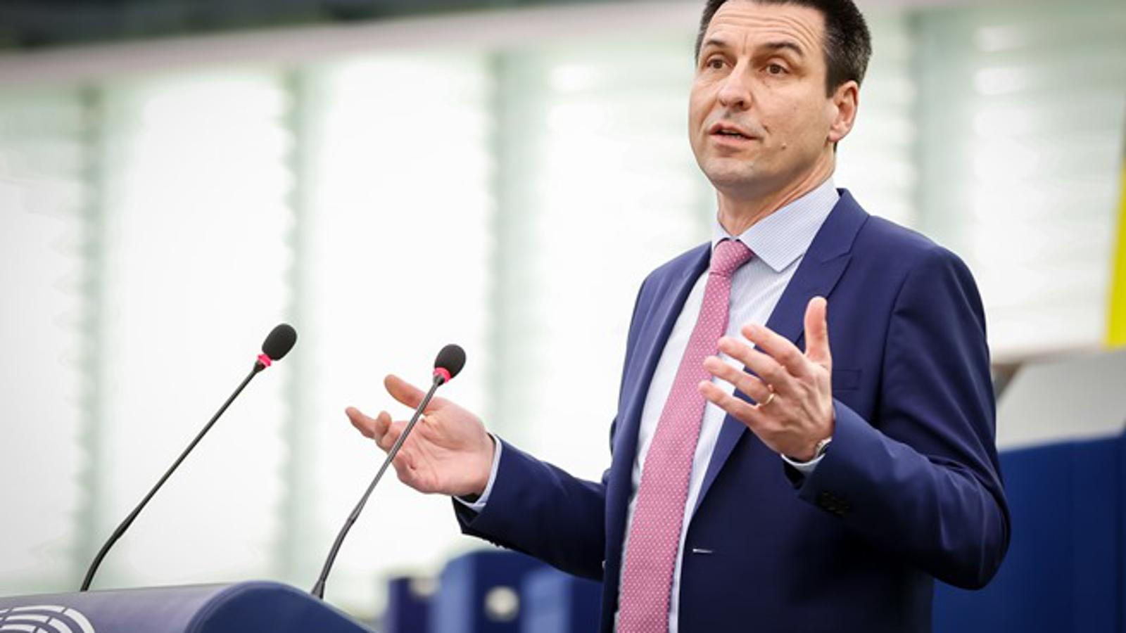 Hrvatski zastupnik u Europskom parlamentu, Ladislav Ilčić