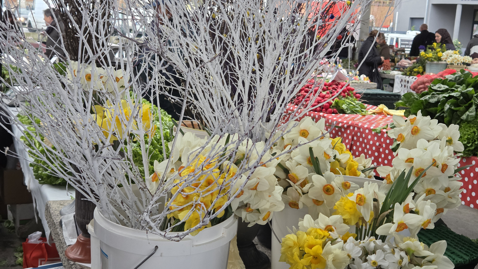  | Author: Željka Gavranović / PlusPortal