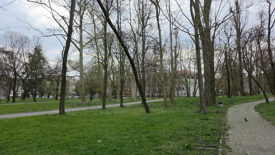  | Author: Željka Gavranović / PlusPortal