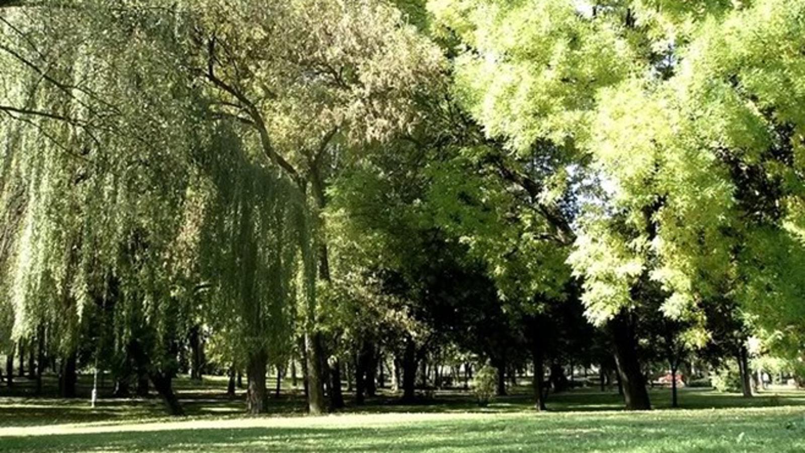 Gradski park u Slavonskom Brodu tijekom ljeta
