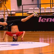 Slika 10