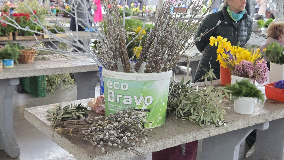  | Author: Željka Gavranović / PlusPortal