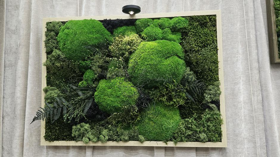  | Author: Željka Gavranović / PlusPortal