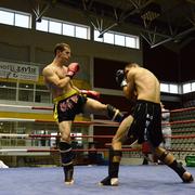 Slika 1
