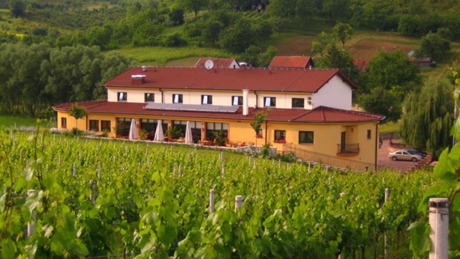 Stupnički dvori