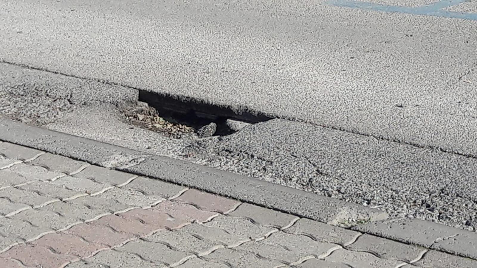 Čitateljica SBplus-a