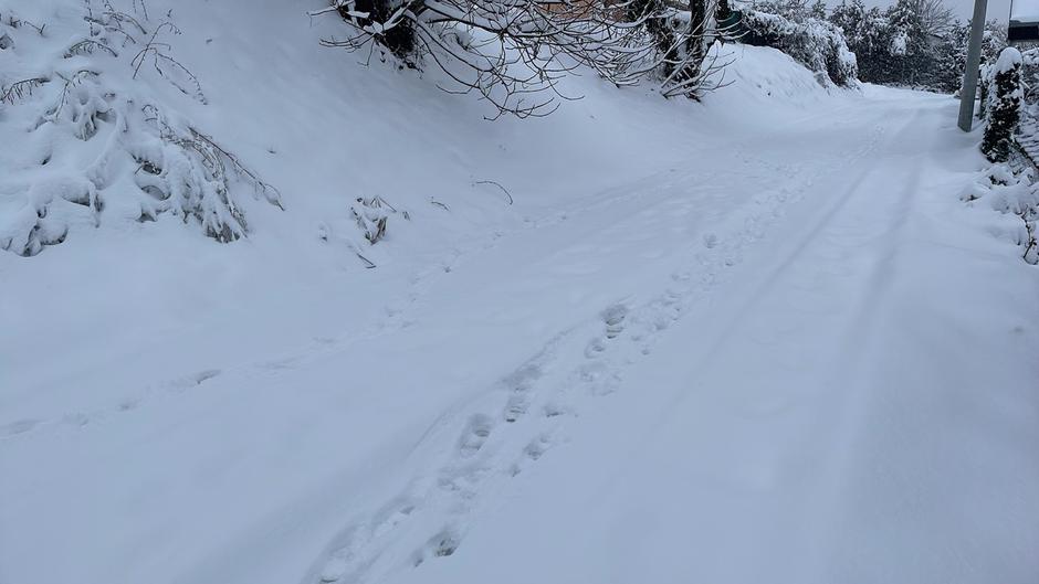  | Author: PlusPortal