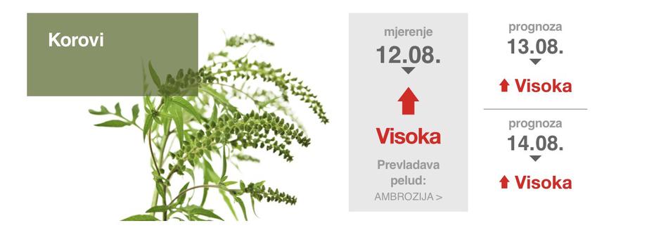  | Author: PLIVAZDRAVLJE (Peludni kalendar ambrozije)