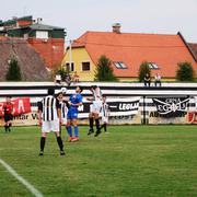 Slika 4
