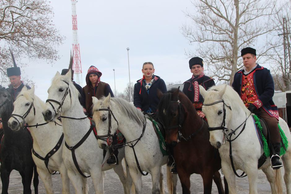  | Author: Luka Sudar / PlusPortal