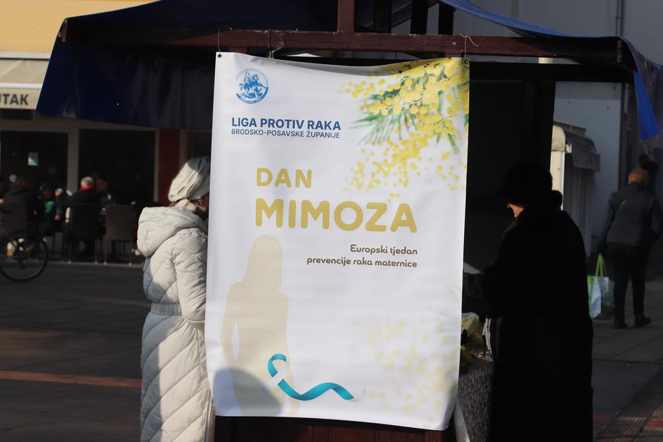  | Author: Željka Gavranović / PlusPortal