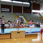 Slika 10