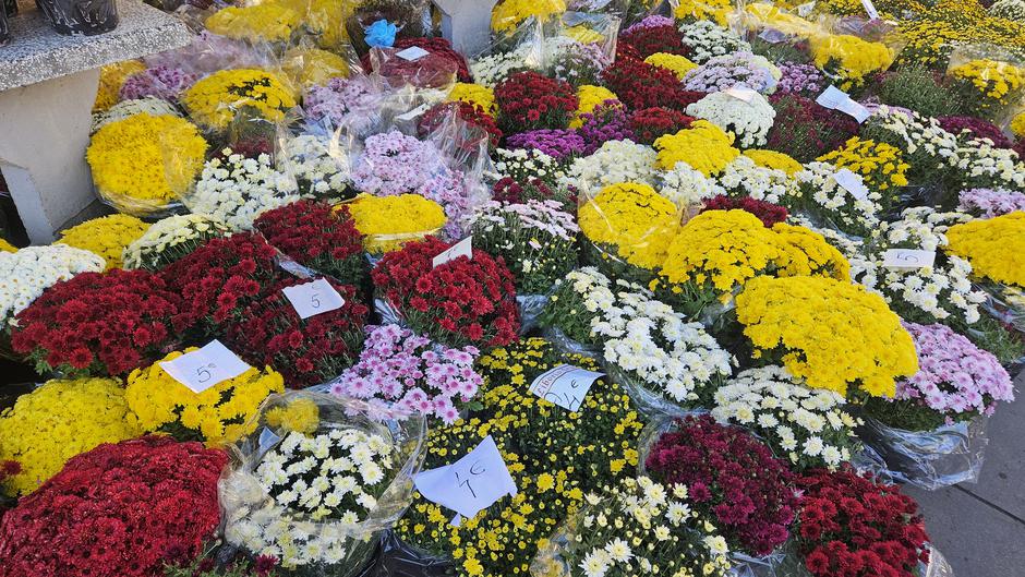 | Author: Željka Gavranović / PlusPortal