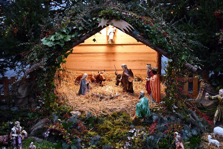  | Author: Ivica Galović/Pixsell