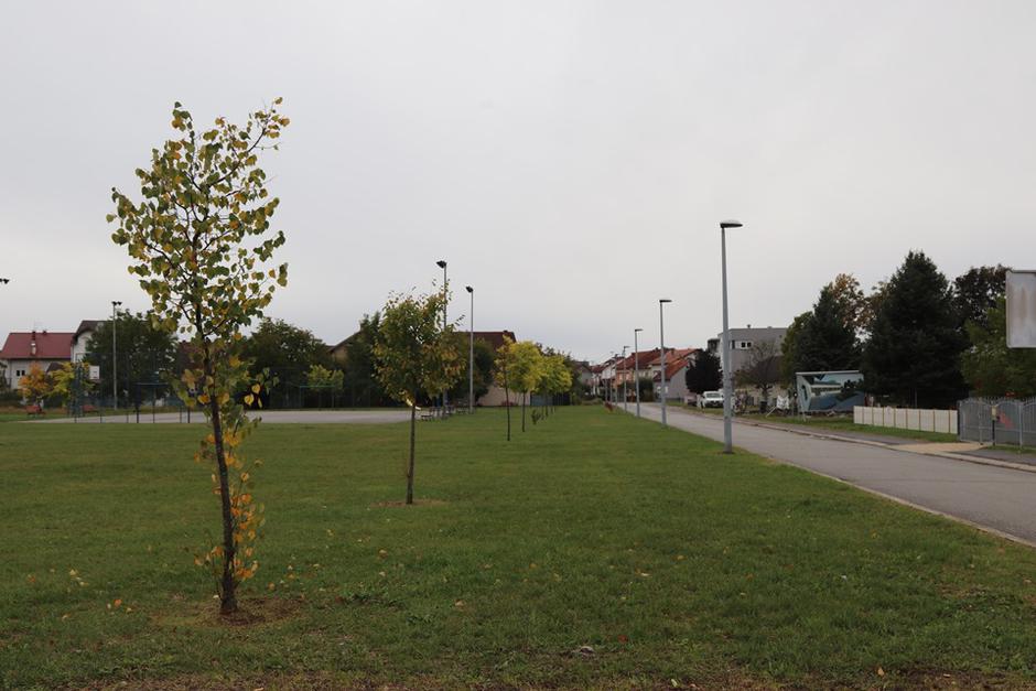 Ž.G./SBplus | Author: 