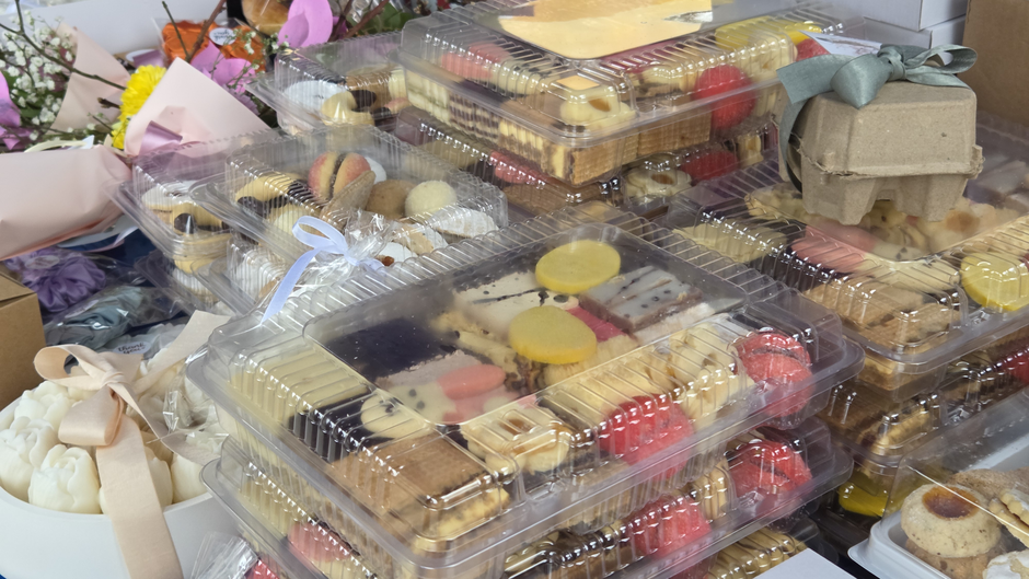  | Author: Željka Gavranović / PlusPortal