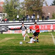 Slika 4