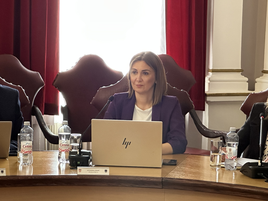 Županijska skupština PSŽ | Author: P.S./Plusportal