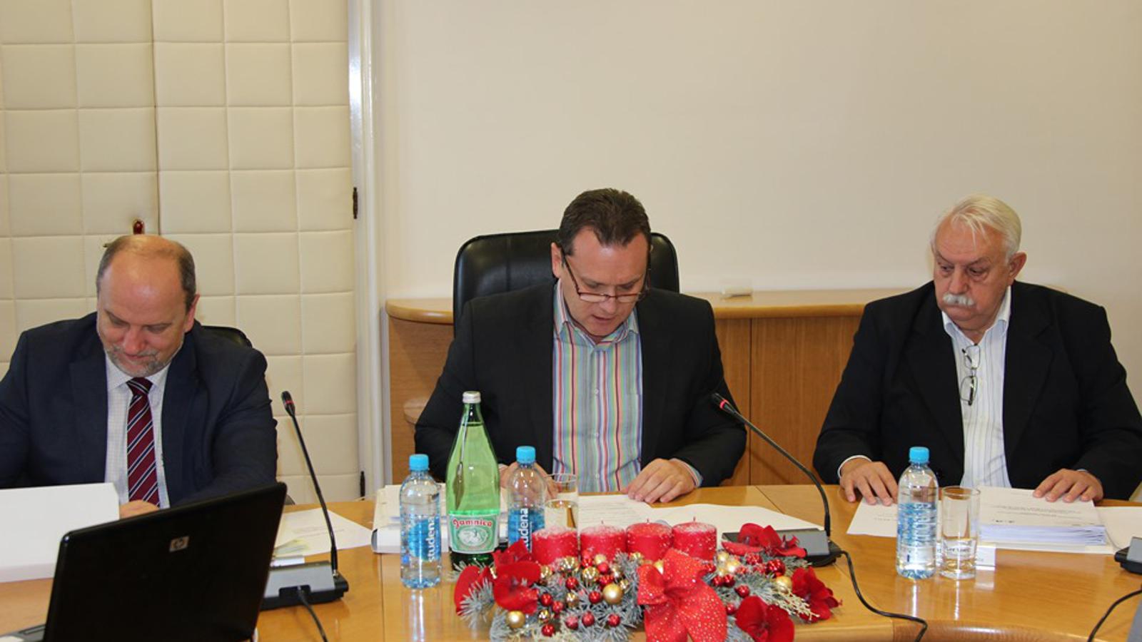 Željka Gavranović/SBplus