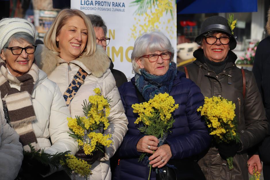  | Author: Željka Gavranović / PlusPortal