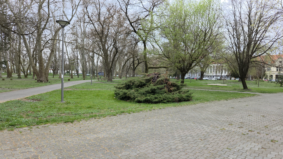  | Author: Željka Gavranović / PlusPortal