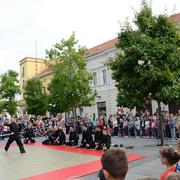 Slika 11