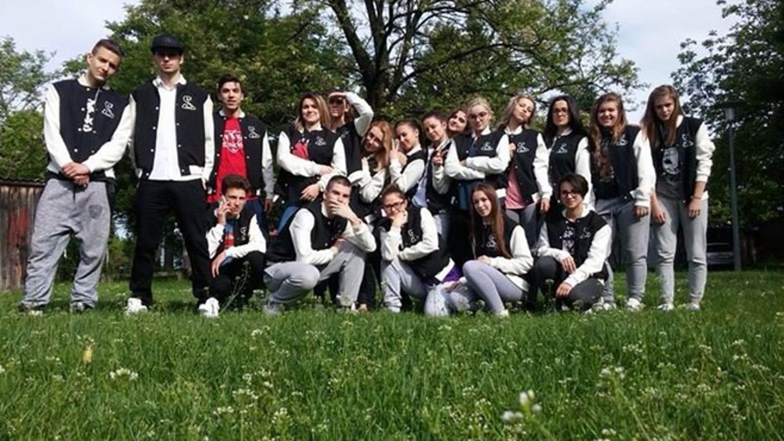 Plesna skupina "Sinovi"