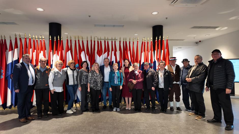 | Author: Vlatka Peterlik Vasiljević