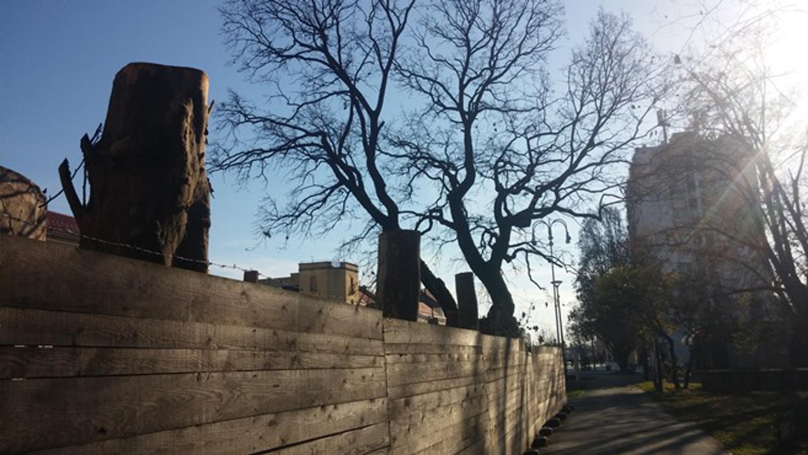 Odrezana stabla oko Hotela Park