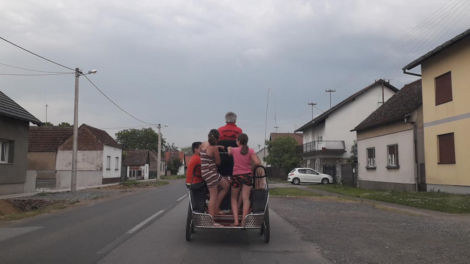 Željka Gavranović/SBplus