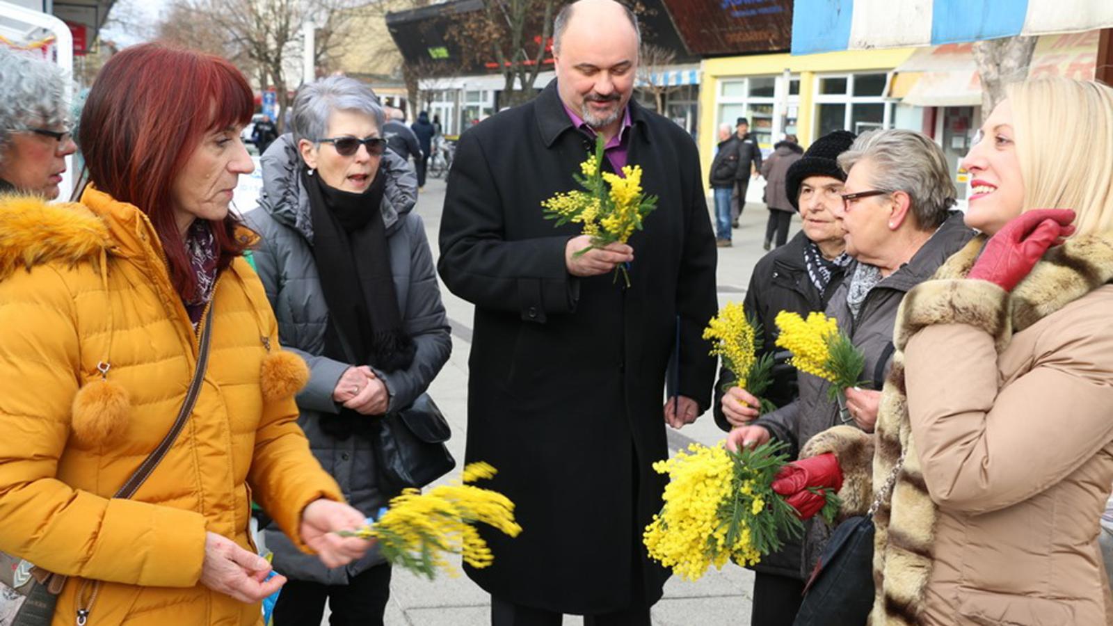Grad Slavonski Brod