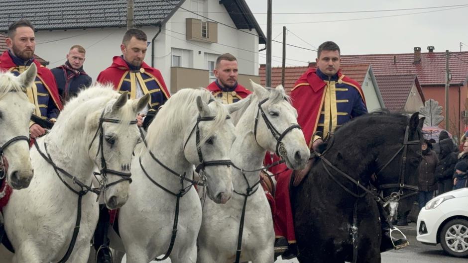  | Author: Luka Sudar / PlusPortal