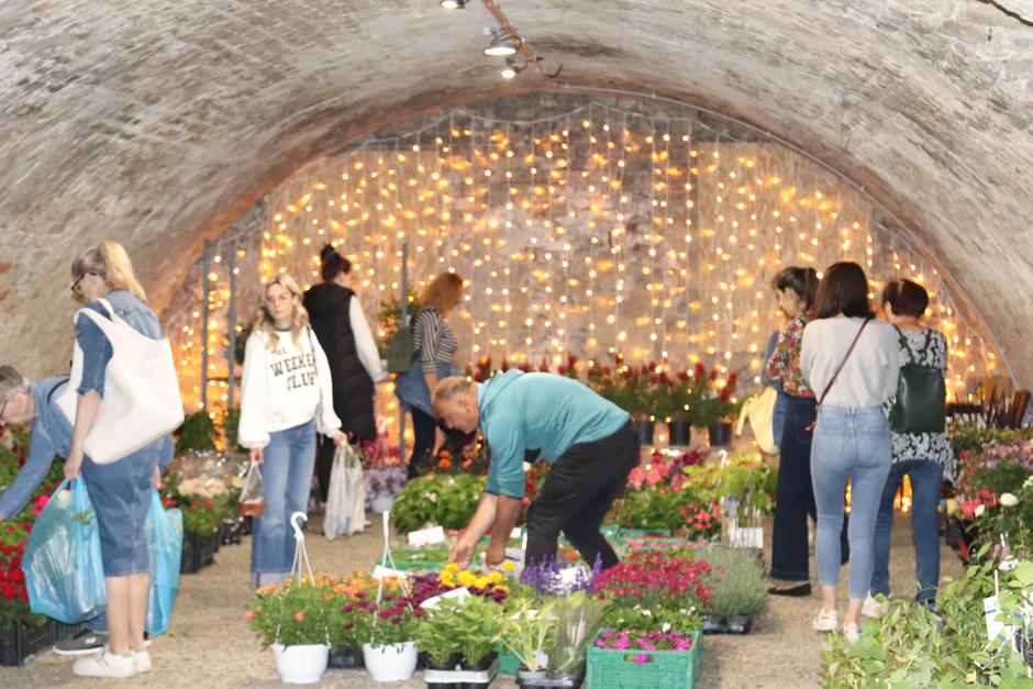  | Author: Željka Gavranović / PlusPortal