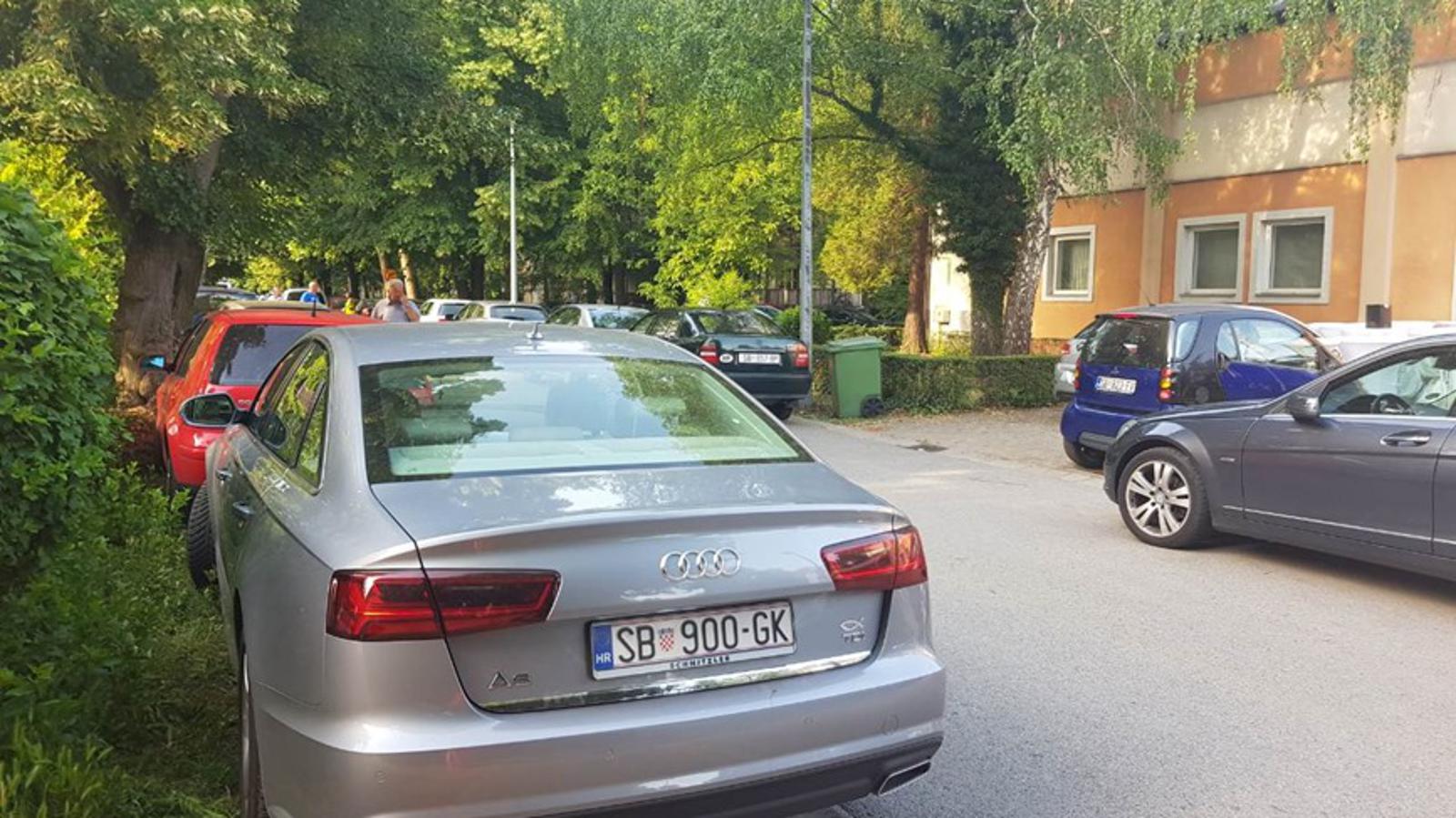 Čitateljica SBplus-a