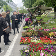 Festival cvijeća, Osijek, 2023.