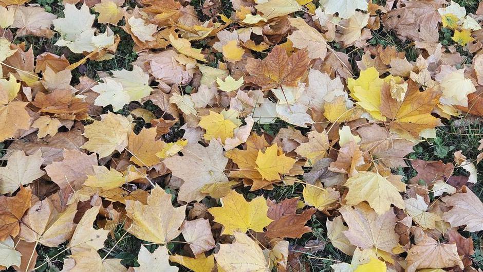  | Author: Željka Gavranović / PlusPortal