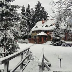 Prizor zimske idile Parka-šume „Jankovac".