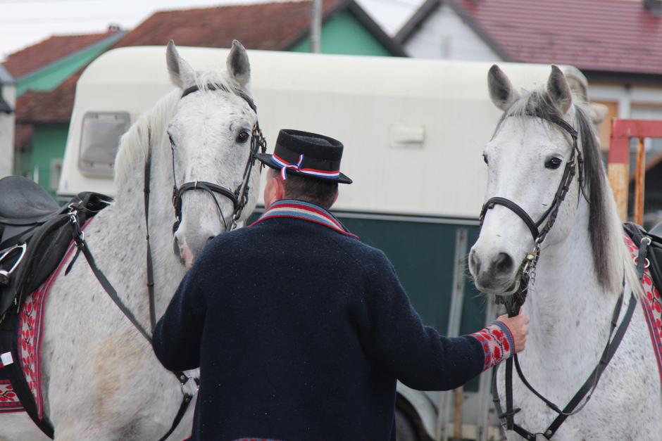  | Author: Luka Sudar / PlusPortal