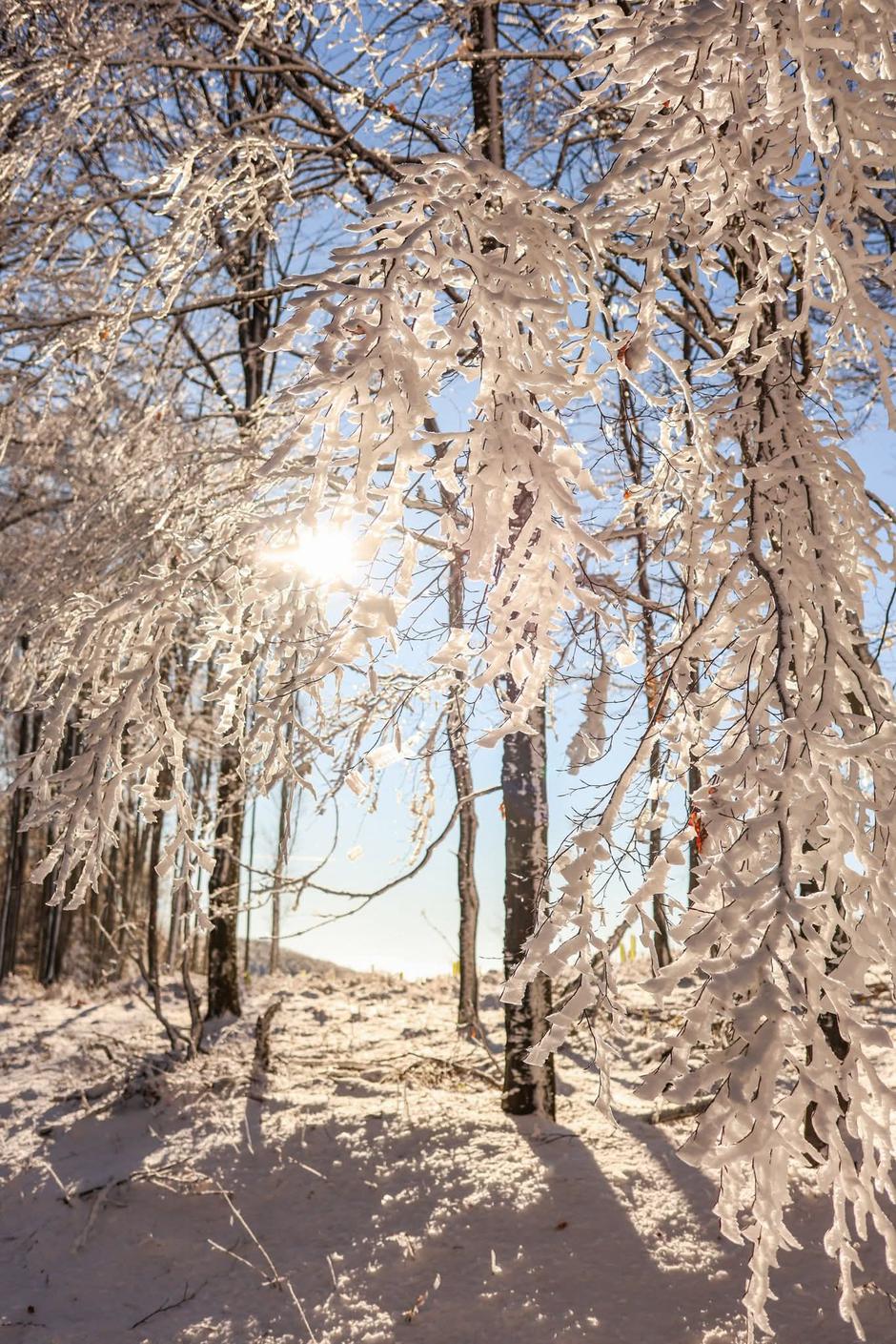  | Author: PP Papuk/FB