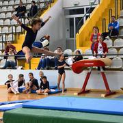 Slika 6