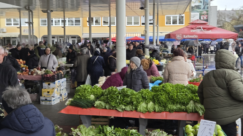  | Author: Željka Gavranović / PlusPortal