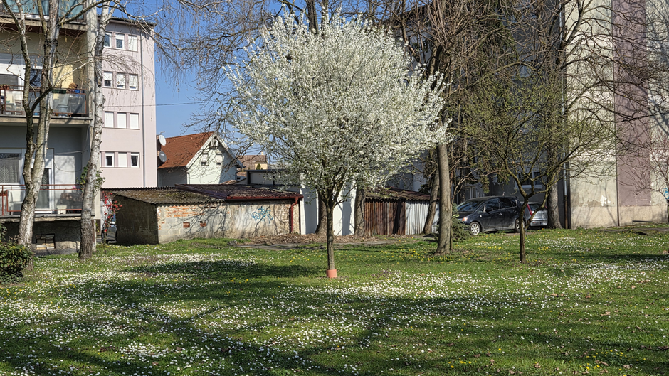  | Author: Željka Gavranović / PlusPortal