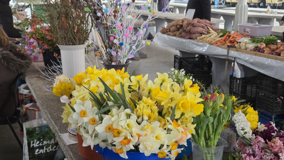  | Author: Željka Gavranović / PlusPortal