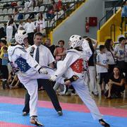 S 11. Susreta prijateljstva u taekwondou
