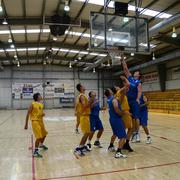 Slika 8