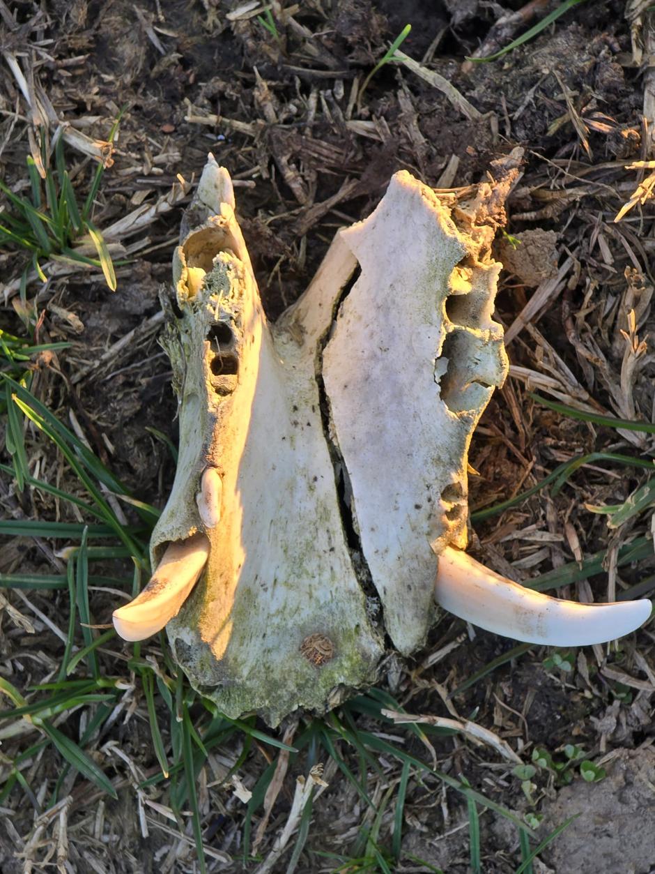  | Author: PlusPortal